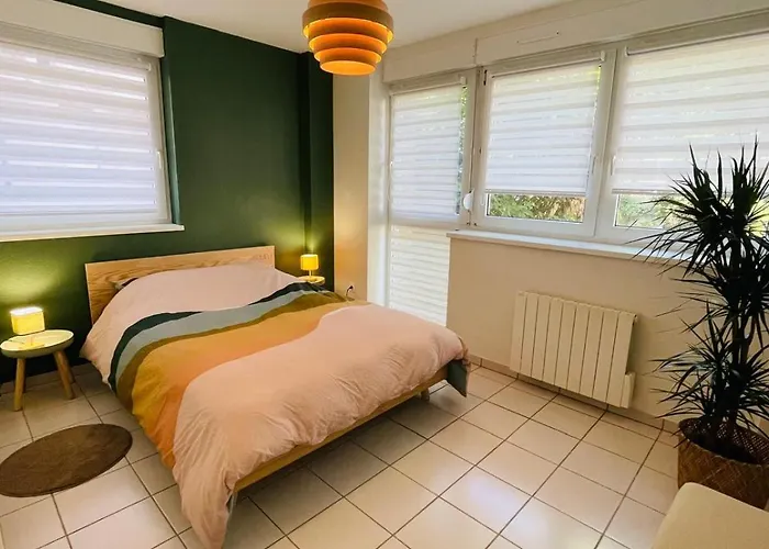 Schmoutzis Appartement Straatsburg